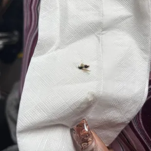 The Second Lady she was highly rude saying we don't have flies well this is a flying ant I found in my grits