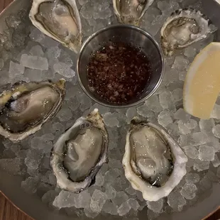 food, mussels, shellfish, oysters, oysters and mussels