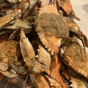 More crabs