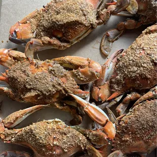 Steamed large blue crab