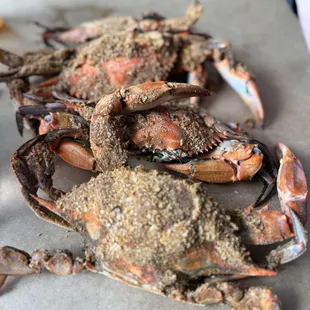 Large crabs