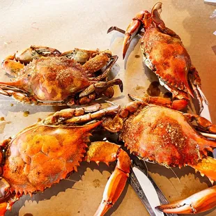 Large Crabs