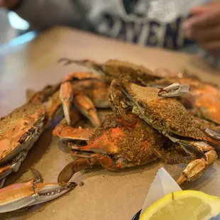 oysters and mussels, shellfish, mussels, oysters, food