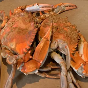 Steamed Crabs