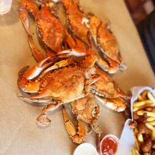 Large Crabs