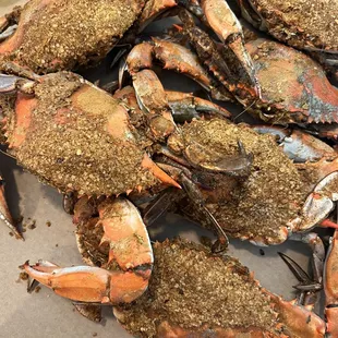 Jumbo Crabs