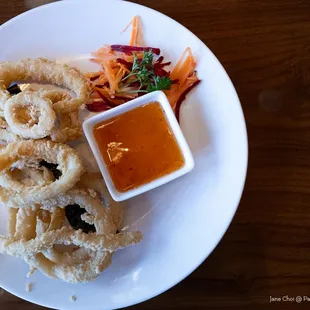 Fried calamari