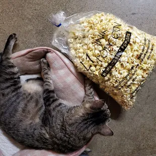 Large size Volcano popcorn. Bigger than Buttfurs.