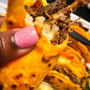 Birria taco