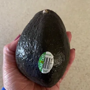 a hand holding an avocado