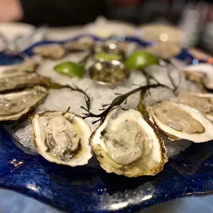 Oysters on the half shell! ohhhhhhhhhhhh my gosh these were so amazballs :)...