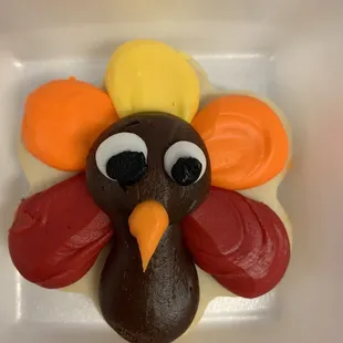 a close up of a turkey