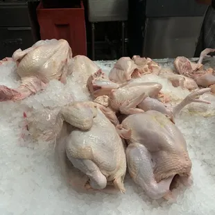 Pollo fresco/ fresh chicken