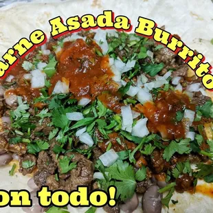 Carne Asada Burrito
