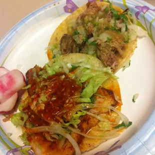 Fish Taco &amp; Carnitas Taco