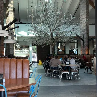 The anchoring tree inside the restaurant