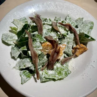 Cesar Salad with extra anchovies