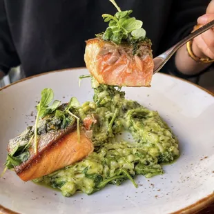 Salmon Pesto Risotto, Broccolini