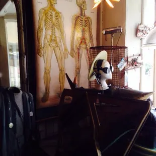 Window display