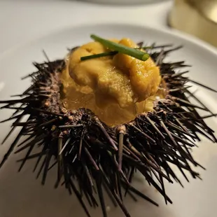 sashimi, food, sushi and sashimi, sushi