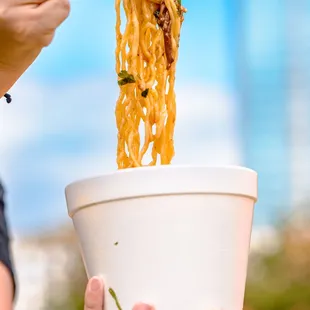 ramen and noodles