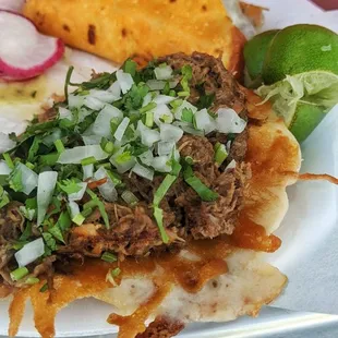 Taco Vampiro y Quesataco