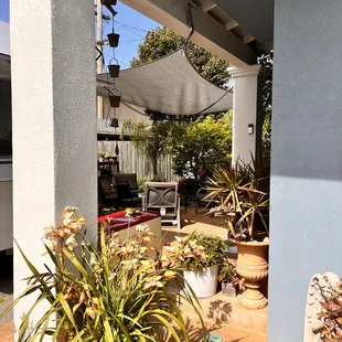 a patio with potted plants