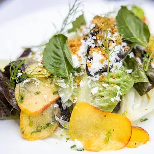 Salad Classique: Local Greens | Stone Fruit | Fennel | Feta | Calamansi Vinaigrette