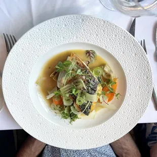 Mediterranean Sea Bass