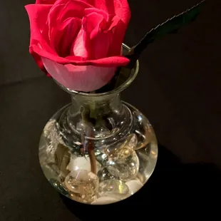 a rose in a glass vase