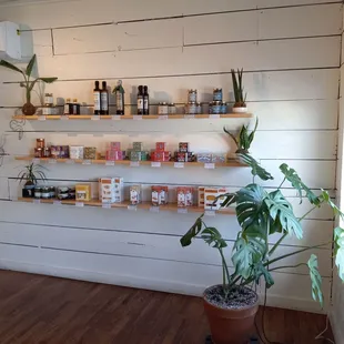 a shelf of spices and a potted plant