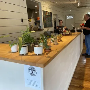 sushi and sashimi, interior