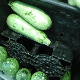 They keep the vegetables in dirty spaces and they didn't taste good, they taste sour. Nasty.