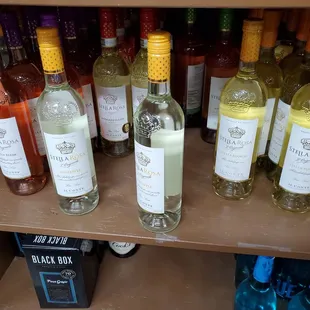 Variety  of wines of Stella Rosa