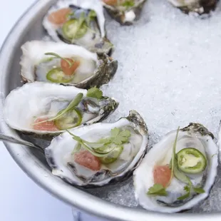 shellfish, mussels, oysters and mussels, oysters, food