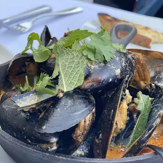 Coconut Red Curry Mussels
