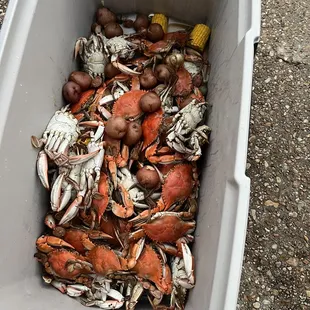 a bucket full of crabs and corn