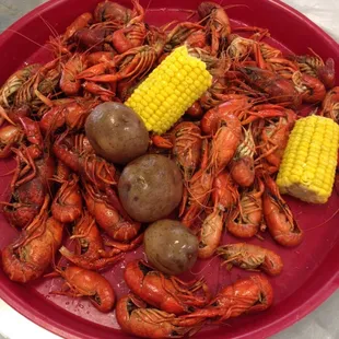 2lbs to devour!