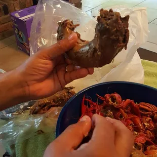Turkey Necks