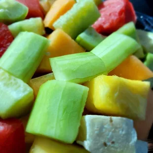Fruit Cocktail (watermelon, melon, pineapple, jicama, cucumber)