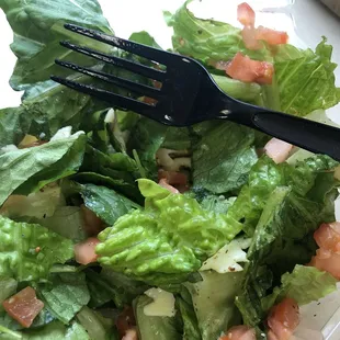 The pasta salad included the bed of chopped lettuce.