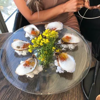 Oysters on the Half-Shell