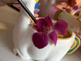 Rosa Mezcal