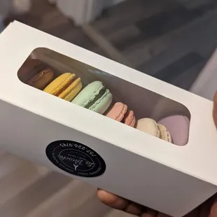 a hand holding a box of macarons