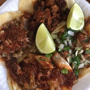 Tacos: Al Pastor, Birria, Chicharrón and Carnitas (option of toppings: green or red salsa, onion/cilantro mix)