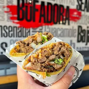 a hand holding a burrito