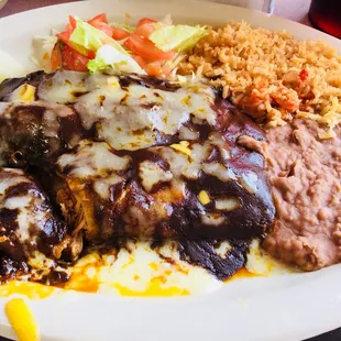 Mole enchiladas