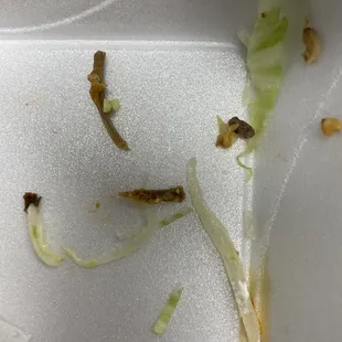 Bones I found in my chicken burrito