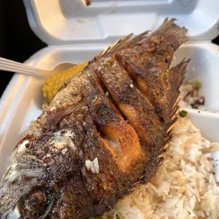Whole tilapia