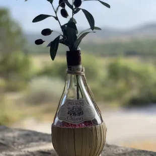 olives in a bottle